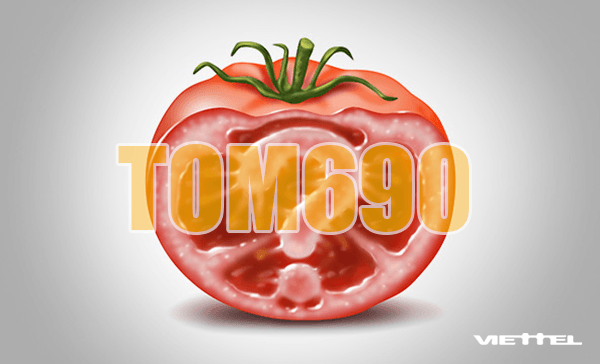 gói cước tomato690